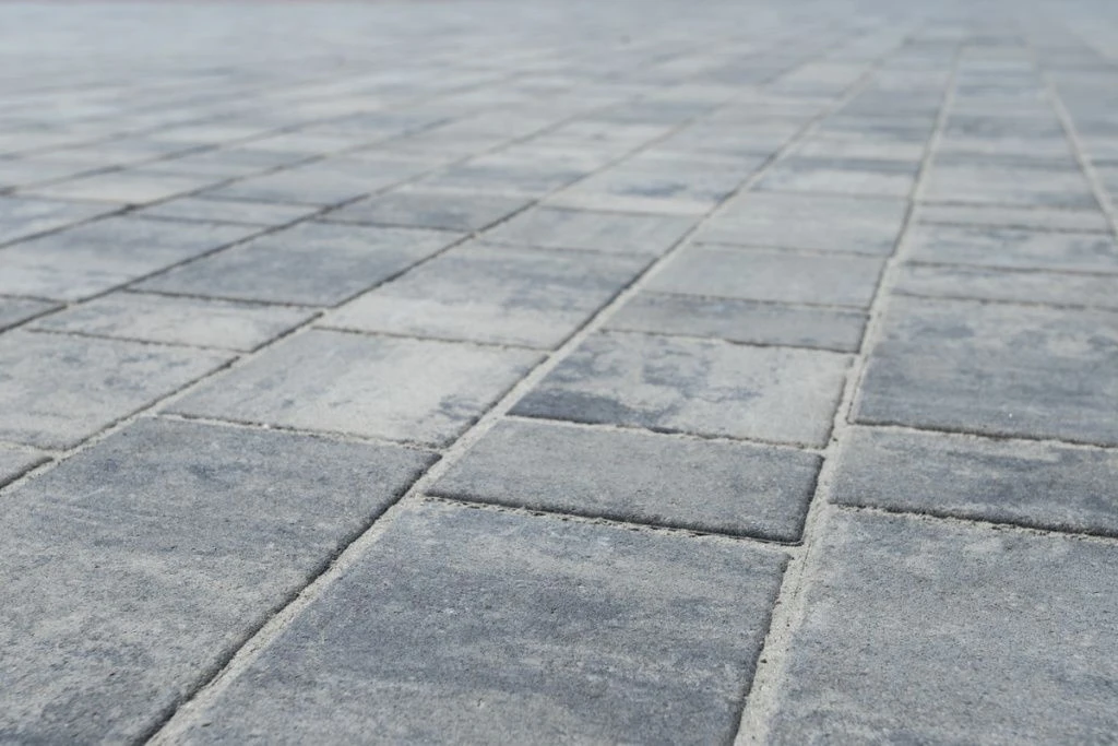 IMG_2999-min.jpg IMG_2999-min.jpg