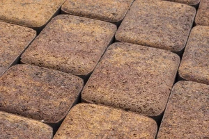 Тротуарная плитка Классико, цвет - гранит н/м листопад, осень