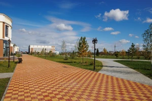 Купите прямоугольную тротуарную плитку от производителя «Выбор»