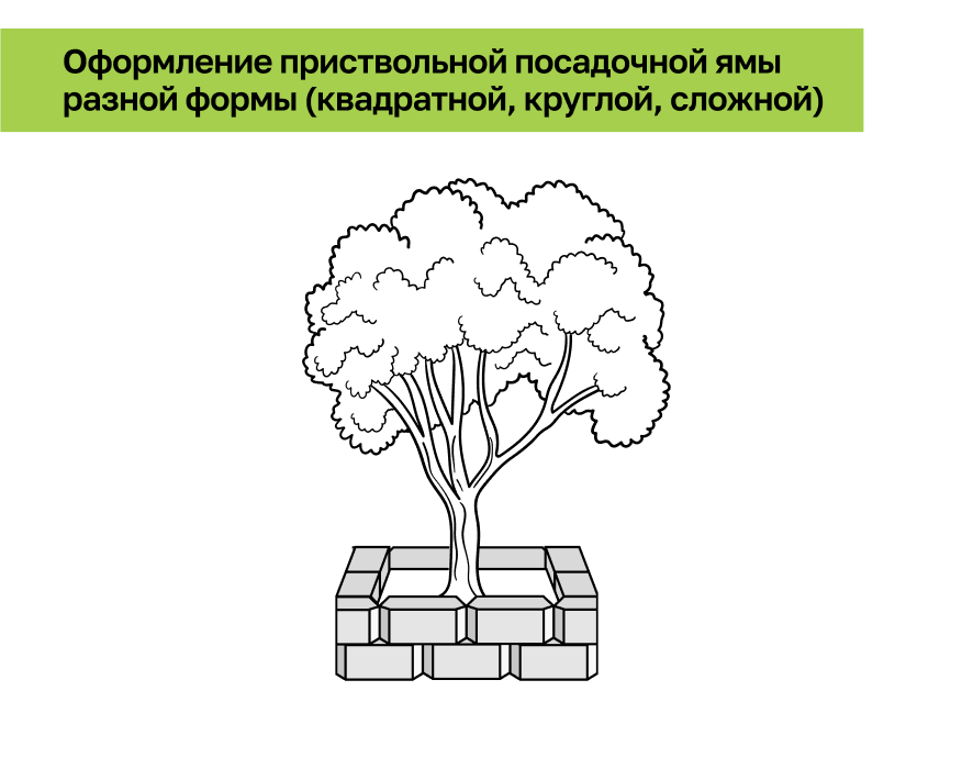 Посадочная яма.png Посадочная яма.png