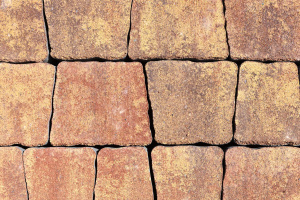 Тротуарная плитка Антик Б.3.А.6 гладкий листопад (красный, коричн, желтый)